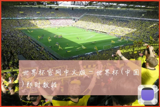 世界杯官网中文版 - 世界杯(中国)即时数据