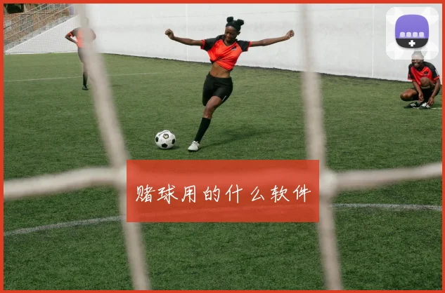 赌球用的什么软件