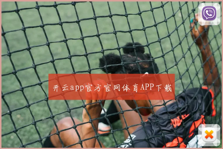 开云app官方官网体育APP下载