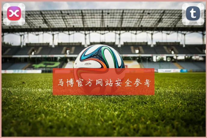 马博官方网站安全参考