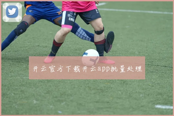 开云官方下载开云app批量处理