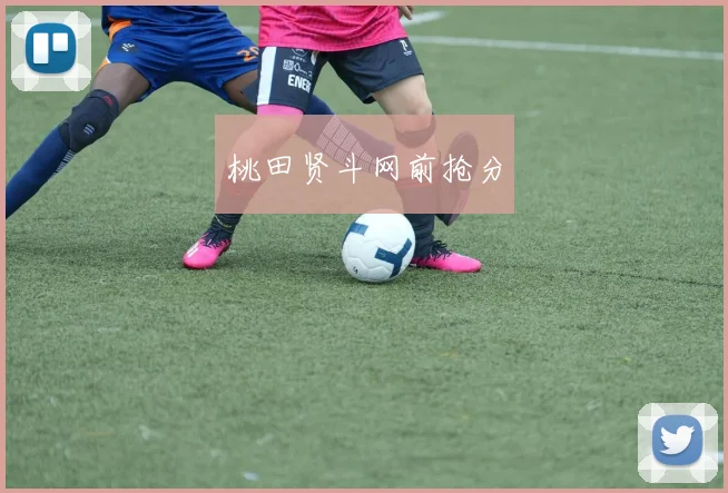 桃田贤斗网前抢分