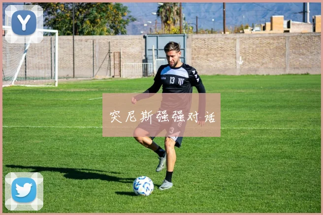 突尼斯强强对话