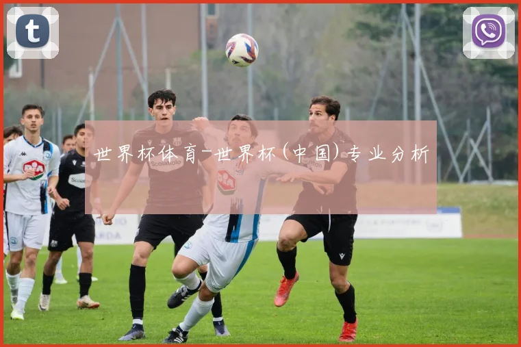 世界杯体育-世界杯(中国)专业分析
