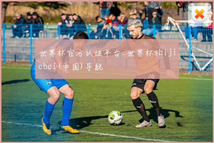 世界杯官方认证平台_世界杯shijiebei(中国)导航