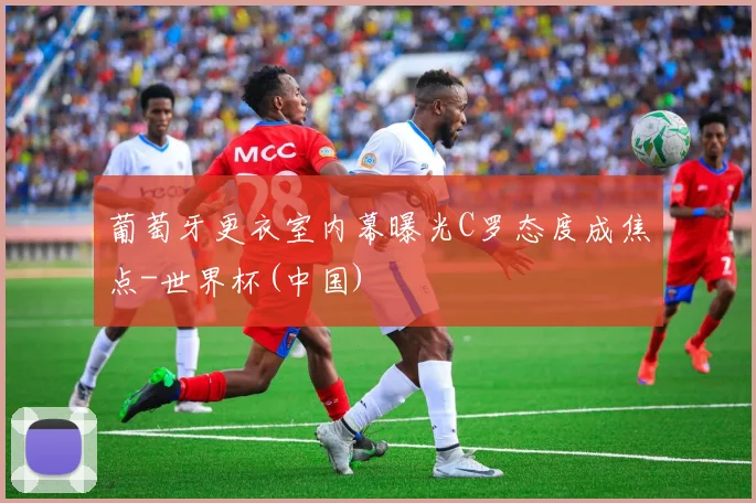 葡萄牙更衣室内幕曝光C罗态度成焦点-世界杯(中国)