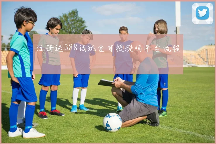 注册送388试玩金可提现吗平台流程