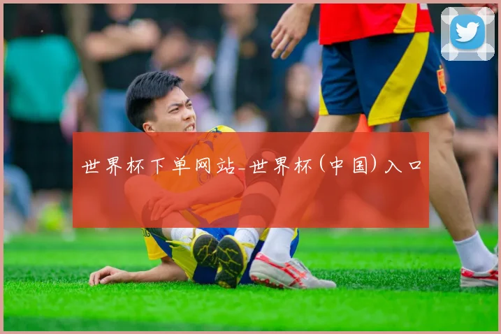 世界杯下单网站_世界杯(中国)入口