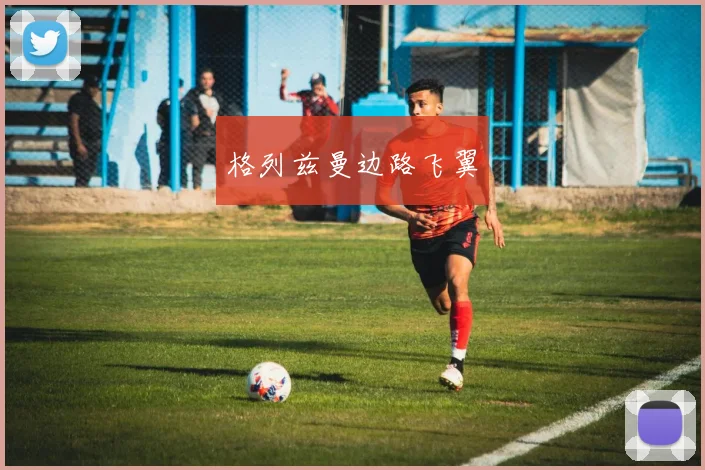 格列兹曼边路飞翼