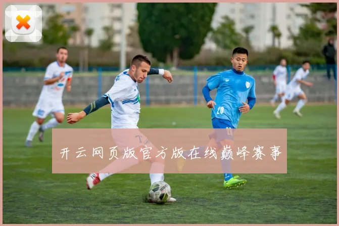 开云网页版官方版在线巅峰赛事