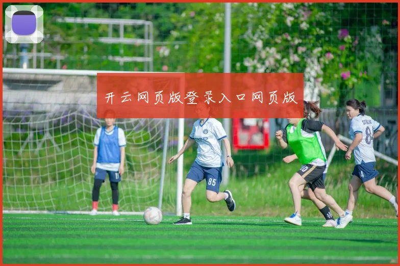开云网页版登录入口网页版