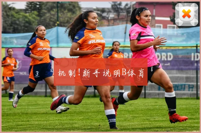 机制!新手说明B体育