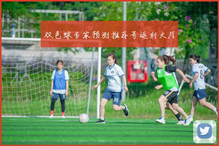 双色球专家预测推荐号返利大厅