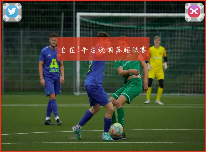 自在!平台说明苏超联赛