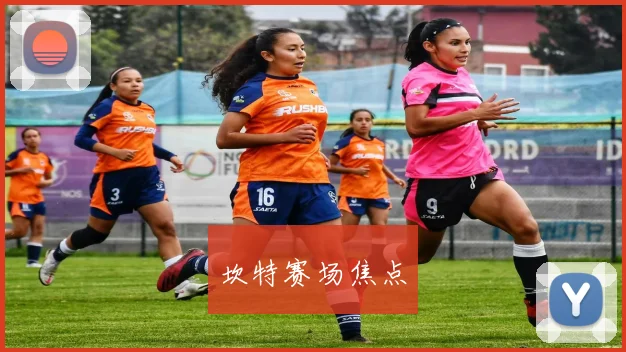 坎特赛场焦点