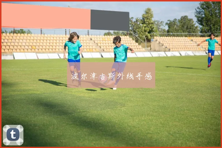 波尔津吉斯外线手感