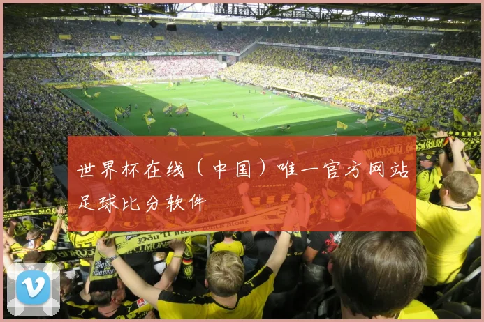世界杯在线（中国）唯一官方网站足球比分软件