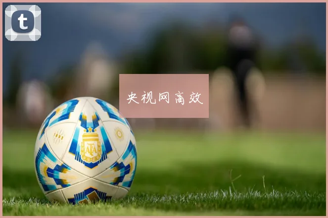 央视网高效