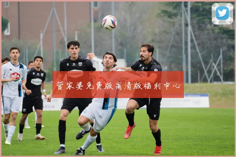 管家婆免费版高清版福利中心