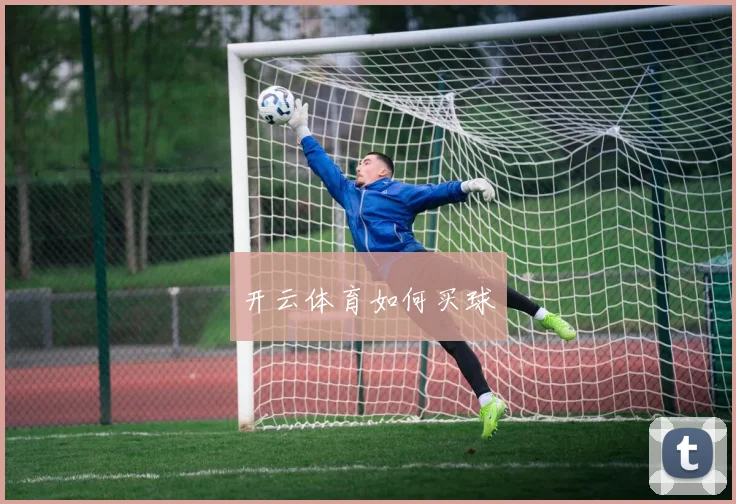 开云体育如何买球