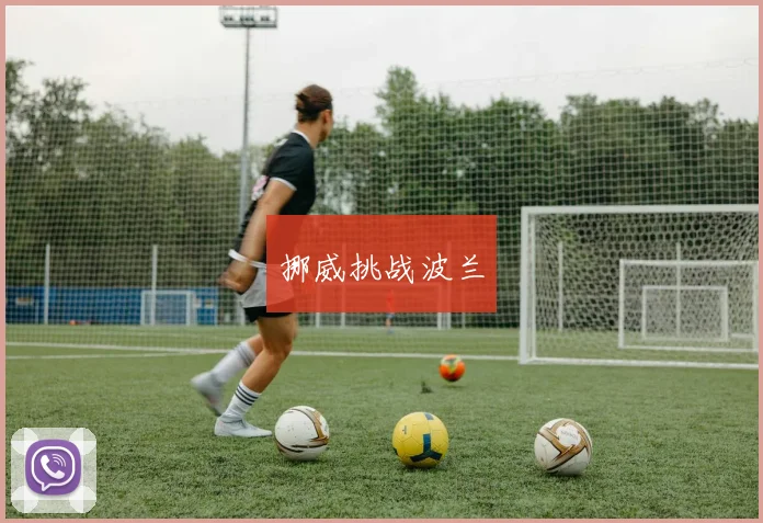 挪威挑战波兰