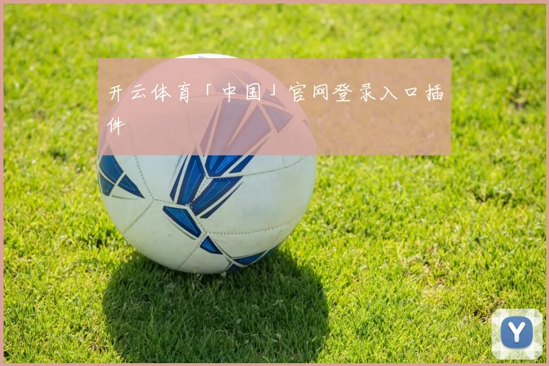 开云体育「中国」官网登录入口插件