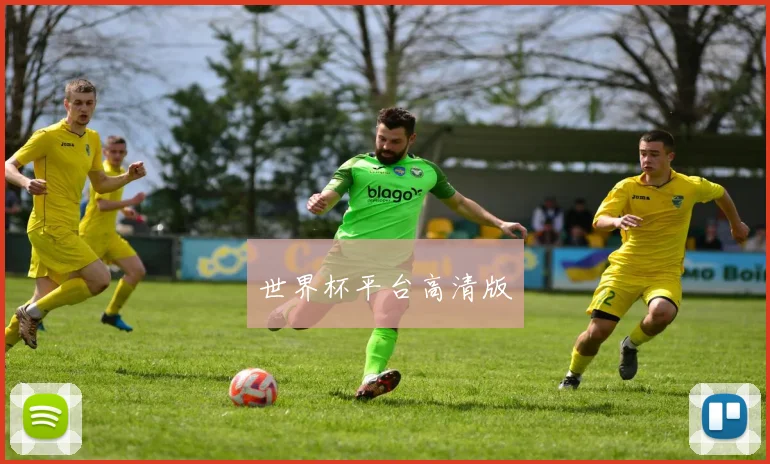世界杯平台高清版