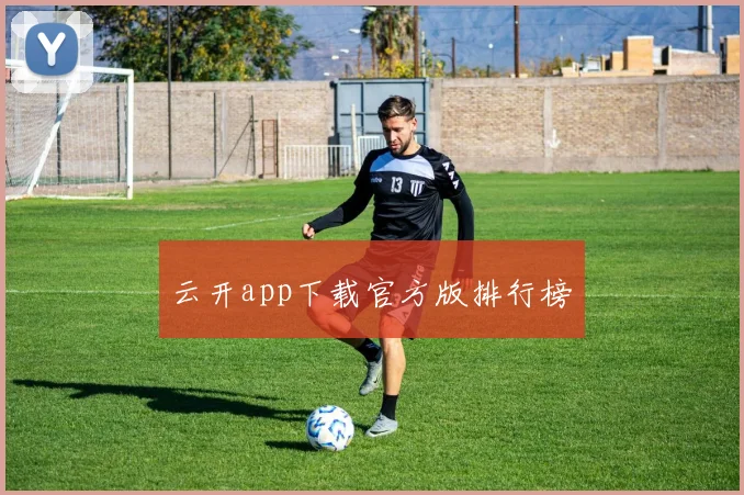 云开app下载官方版排行榜