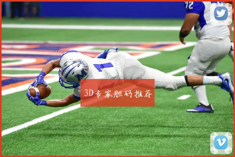 3D专家胆码推荐