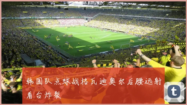 韩国队点球战格瓦迪奥尔后腰远射看台炸裂