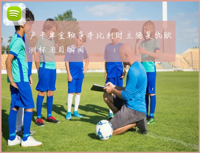 卢卡库金靴争夺比利时主场复仇欧洲杯泪目瞬间