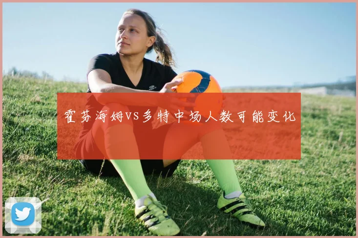 霍芬海姆vs多特中场人数可能变化