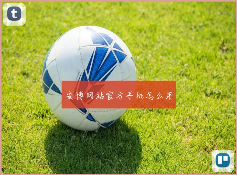 安博网站官方手机怎么用